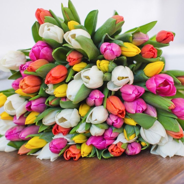 79 тюльпанов "Рандом" в Калуге