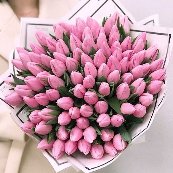 101 розовый тюльпан в белом в Калуге
