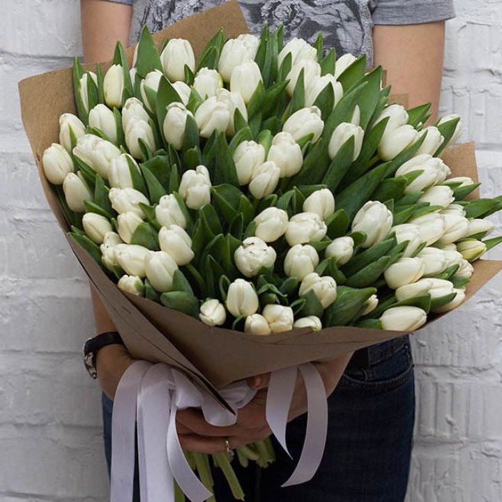 101 тюльпан сноу в Калуге