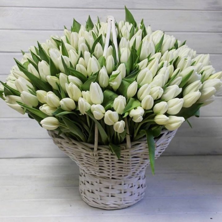 Корзина из 151 тюльпана в Калуге