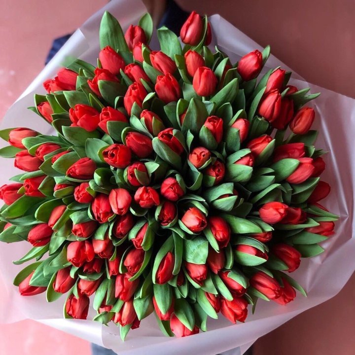 101 красный тюльпан в Калуге